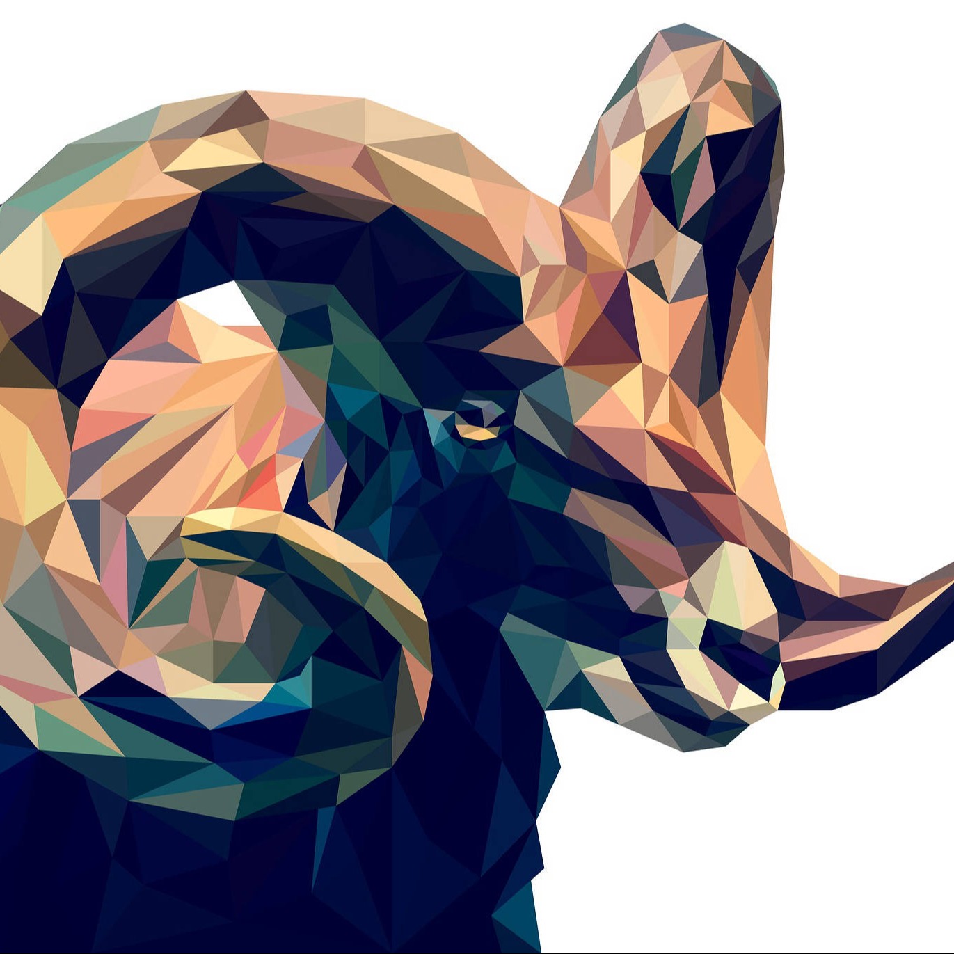 ram